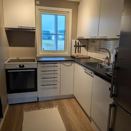 And Spacious In A Quiet Area Apartment Tromso